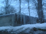 TN-P1010140.jpg