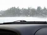 TN-P1010143.jpg