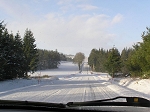 TN-P1010152.jpg