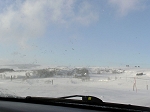 TN-P1010166.jpg
