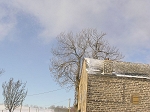 TN-P1010168.jpg