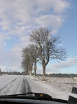 TN-P1010171.jpg