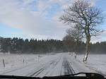 TN-P1010172.jpg
