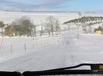 TN-P1010185.jpg
