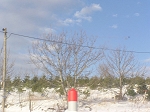 TN-P1010188.jpg