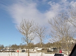 TN-P1010205.jpg