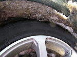 TN-P1010252.jpg