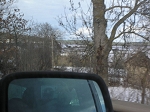 TN-P1010267.jpg