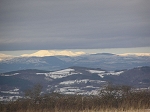 TN-P1010279.jpg